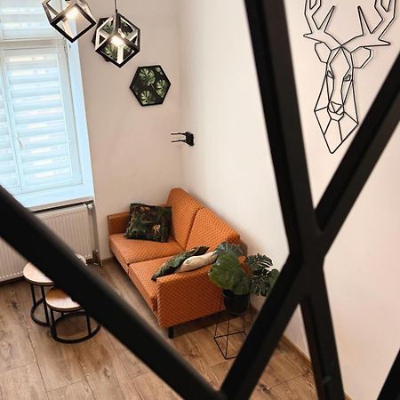 Stary Toruń Apartamenty Dream Place Z Klimatyzacja מראה חיצוני תמונה