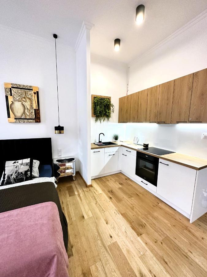 Stary Toruń Apartamenty Dream Place Z Klimatyzacja מראה חיצוני תמונה