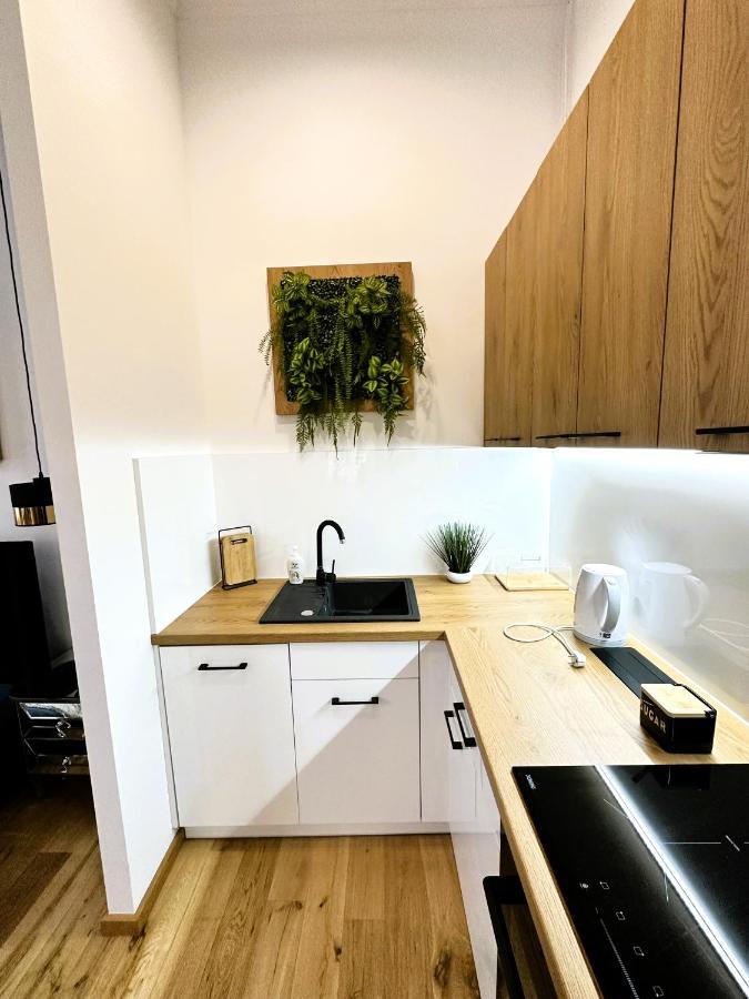 Stary Toruń Apartamenty Dream Place Z Klimatyzacja מראה חיצוני תמונה